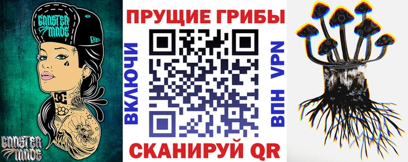 Галлюциногенные грибы Psilocybe  где купить наркоту  Оленегорск 